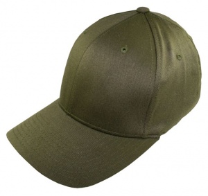 Flexfit Organic Cotton