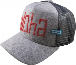Coastal Aloha Jersey