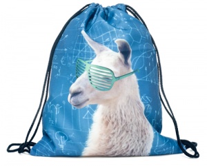 Gym Bag/ Sackpack