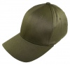 Flexfit Organic Cotton