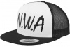 Flat Trucker Cap