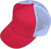 Meshcap